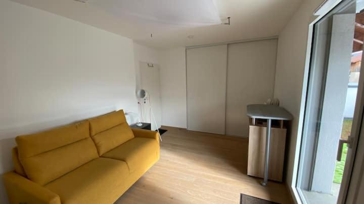 Chens-sur-LemanMagnifique Studio Avec Terrasse Et Garage公寓 外观 照片